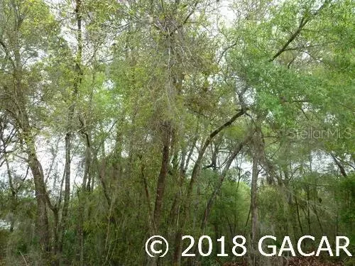 00 State Road 21, Melrose, FL 32666