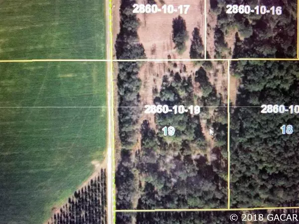 Lot 19 254th LN, Alachua, FL 32615