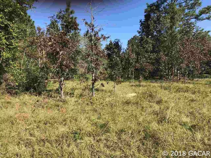 5600 COUNTY ROAD 214, Keystone Heights, FL 32656