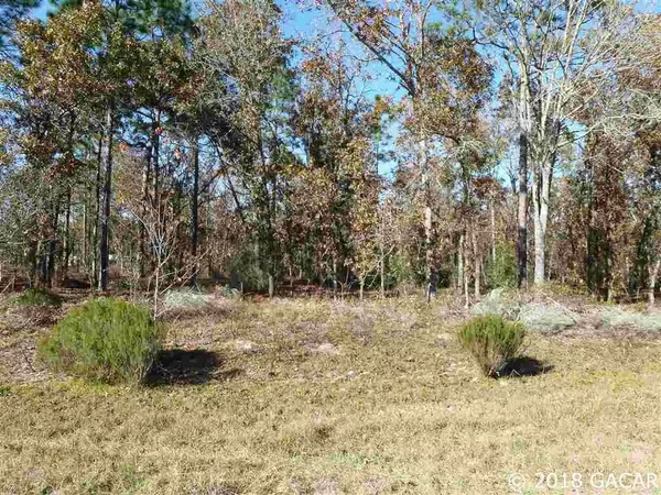 000 Silver Dollar DR, Hawthorne, FL 32640