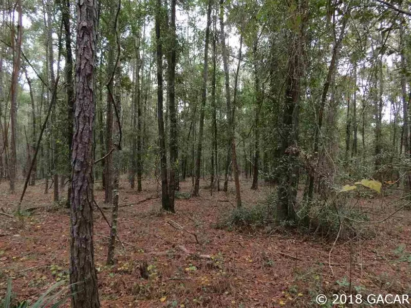 Lot 28 SE 11th TRL, Trenton, FL 32693