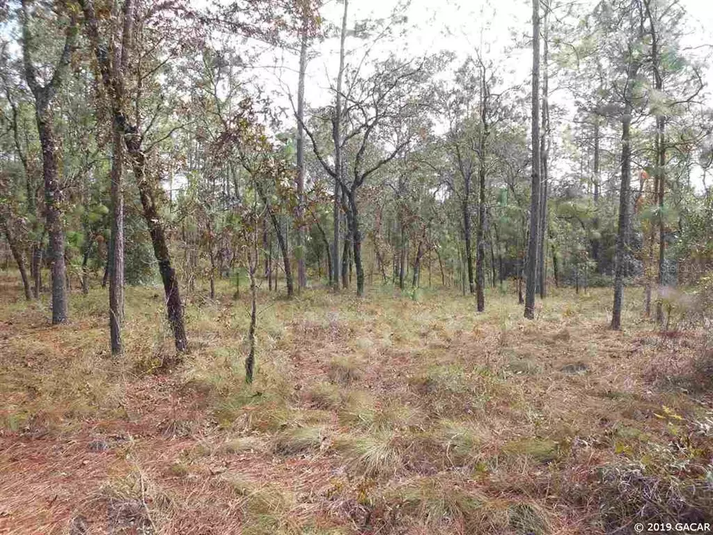 Bronson, FL 32621,TBD NE 65 ST