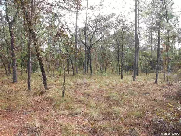 TBD NE 65 ST, Bronson, FL 32621