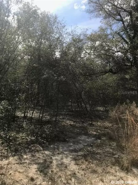 4545 M lake Road, Keystone Heights, FL 32656