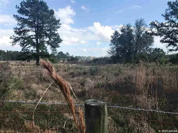 00 1474, Hawthorne, FL 32640