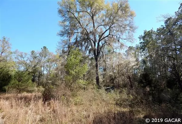 Ft. White, FL 32038,00 SW Copperhead Lane