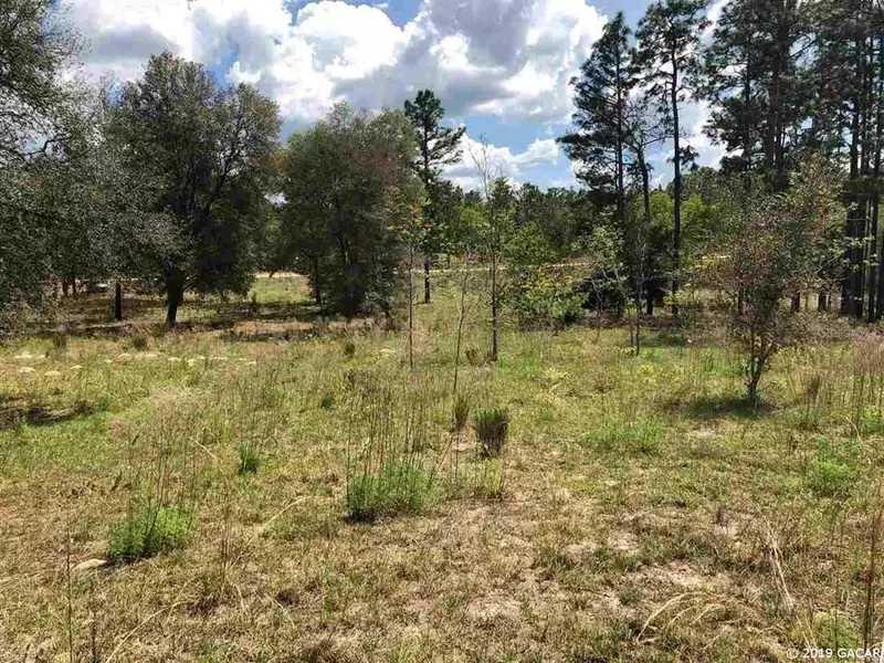 152 Piper DR, Hawthorne, FL 32640