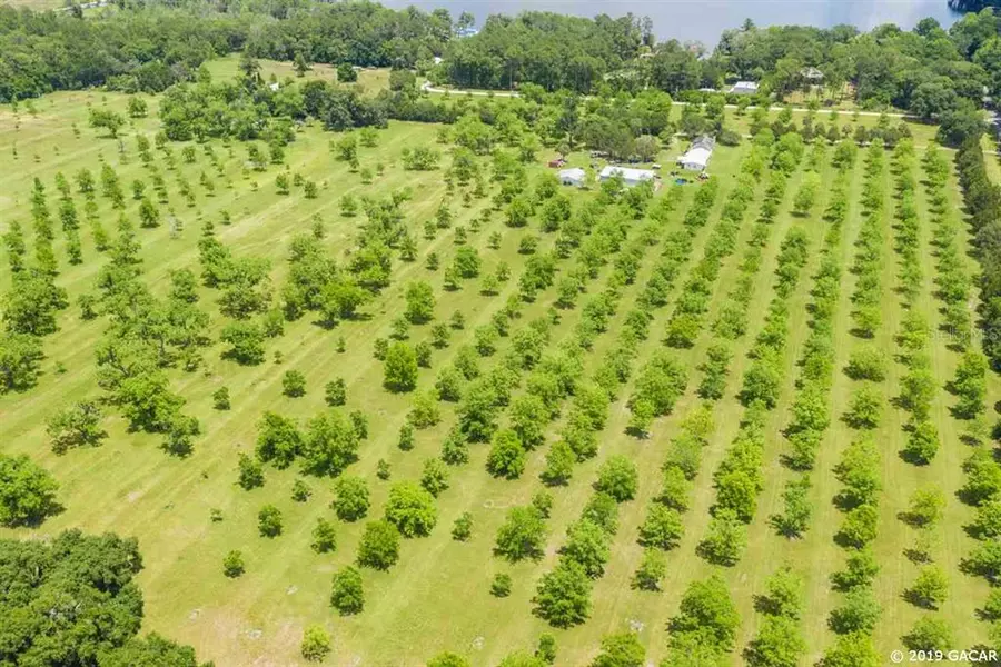 20230 NE 132nd AVE, Waldo, FL 32694