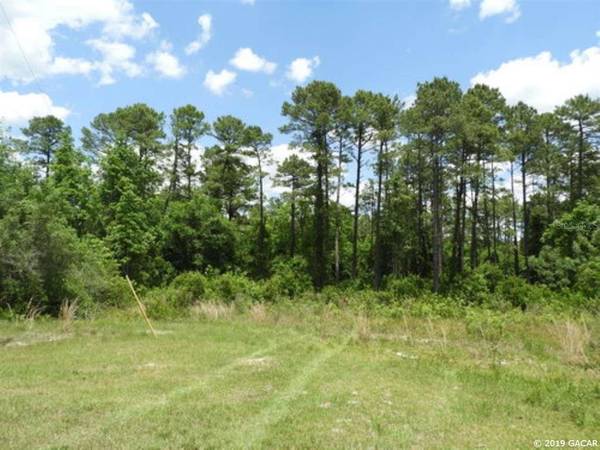 TBD WOLVERINE LANE, Keystone Heights, FL 32656