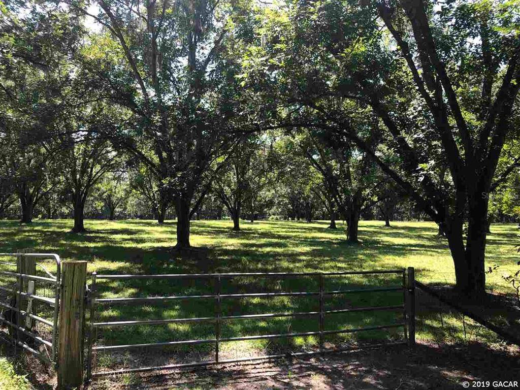 19027 NE State Road 26 RD, Hawthorne, FL 32640