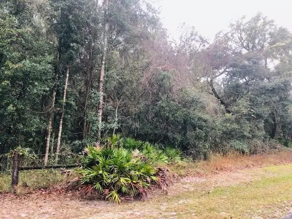 Lots 26 & 27 NW 163rd PL, Fanning Springs, FL 32693