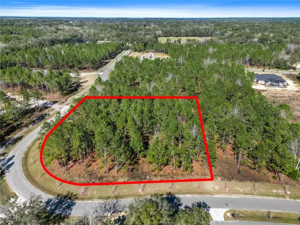 Lot 23 NW 152nd CT, Newberry, FL 32669