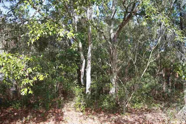 Keystone Heights, FL 32656,00 SE 57 ST