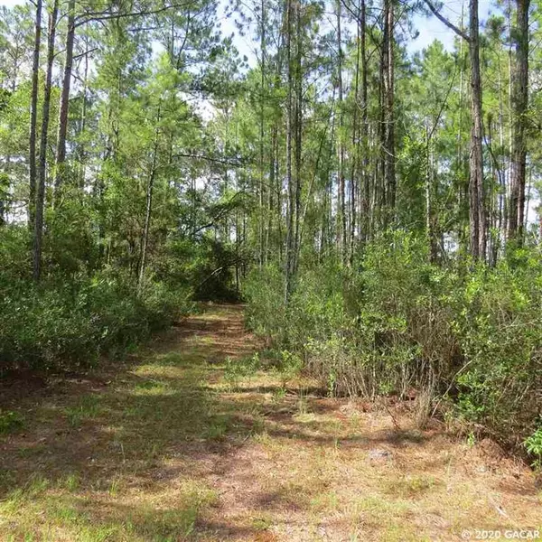 17007 NE County Road 1475, Gainesville, FL 32609