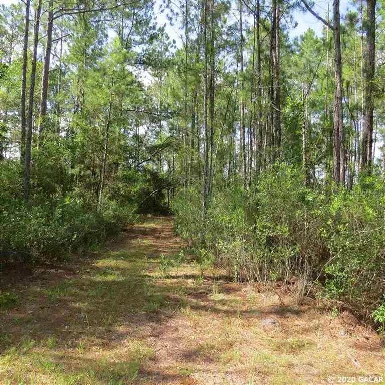 Gainesville, FL 32609,17007 NE County Road 1475