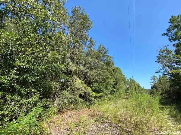 Lot 6&7 NE 96 AVE, Bronson, FL 32621