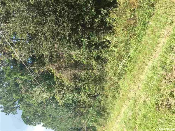 Archer, FL 32618,Lot 29 SW Archer RD