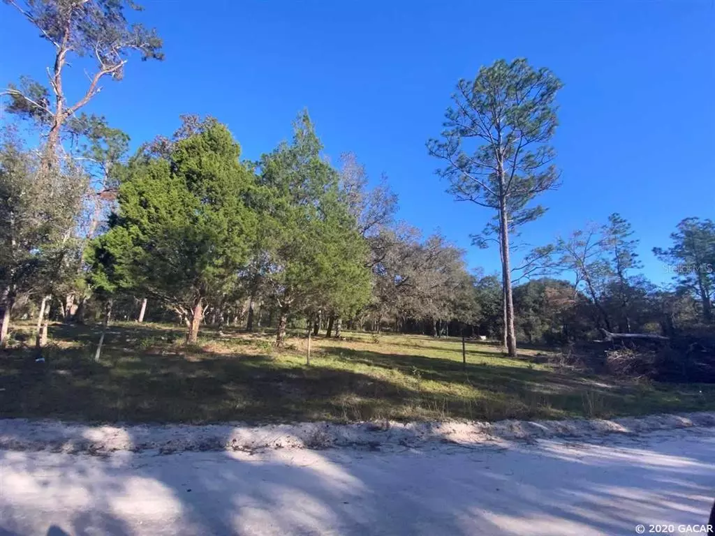 Bronson, FL 32621,8591 NE 113th AVE