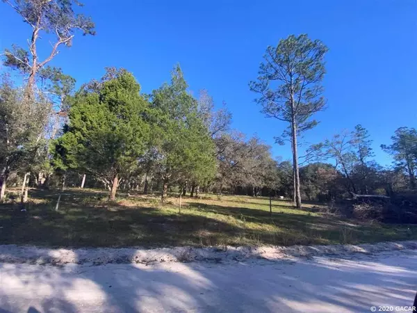 8591 NE 113th AVE, Bronson, FL 32621