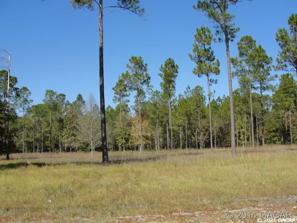 Lake Butler, FL 32054,00 SE 161st Lot#9 LN