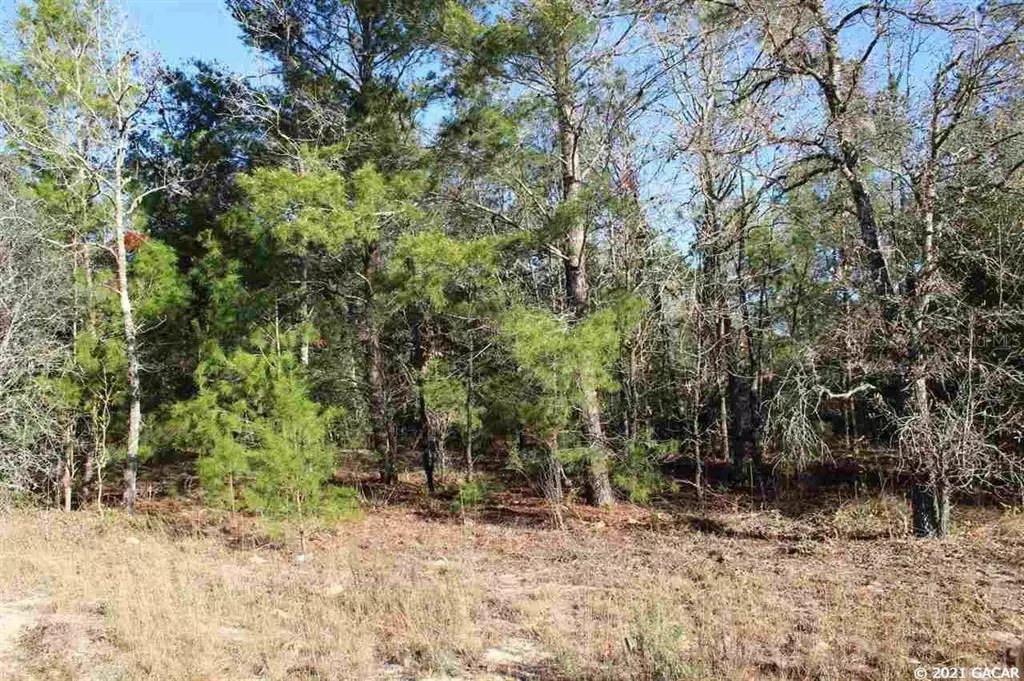 Keystone Heights, FL 32656,5910 CR 214