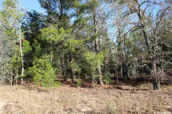 5910 CR 214, Keystone Heights, FL 32656