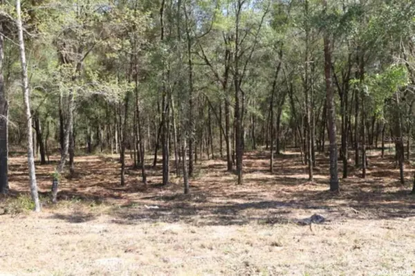 Keystone Heights, FL 32656,TBD SE 8th AVE #LOT 9