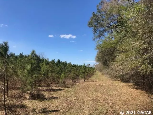 25866 21st RD, Branford, FL 32071