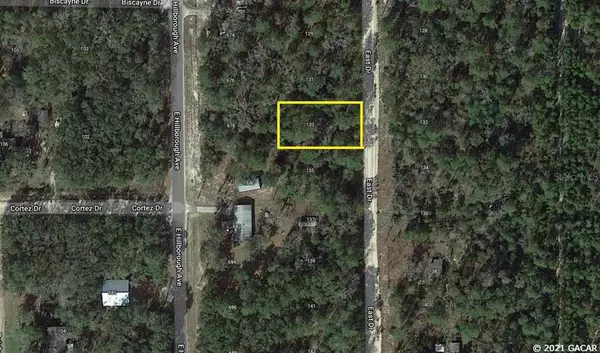 133 East DR, Florahome, FL 32140