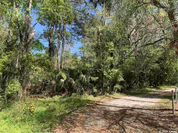 Micanopy, FL 32667,00 SE Evans CT