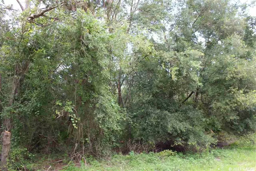 5730 Chippewa AVE, Keystone Heights, FL 32656