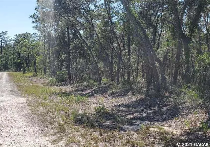 000 SE 130th AVE, Dunnellon, FL 34431