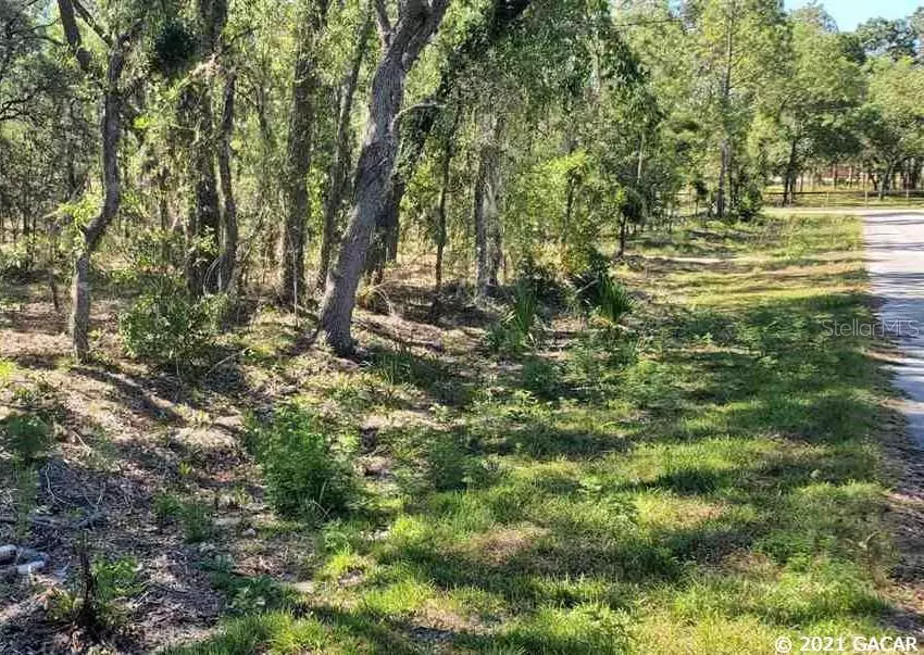 Dunnellon, FL 34431,000 SE 134th TER #Lot 4