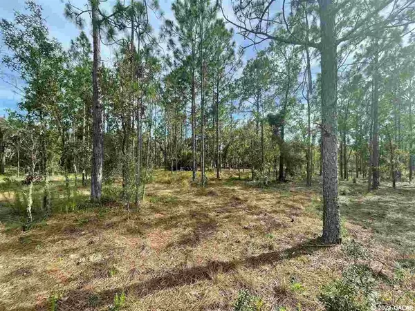 TBD SE 122nd AVE, Morriston, FL 32668