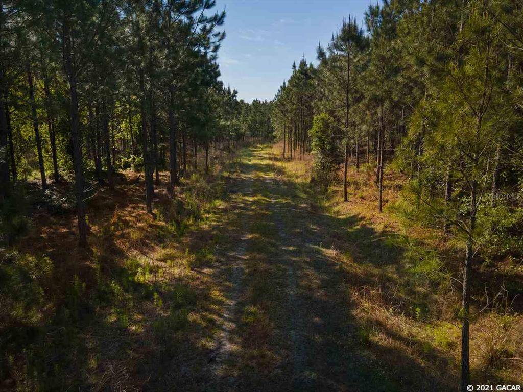 Hatchet Creek NE 67 AVE, Gainesville, FL 32606