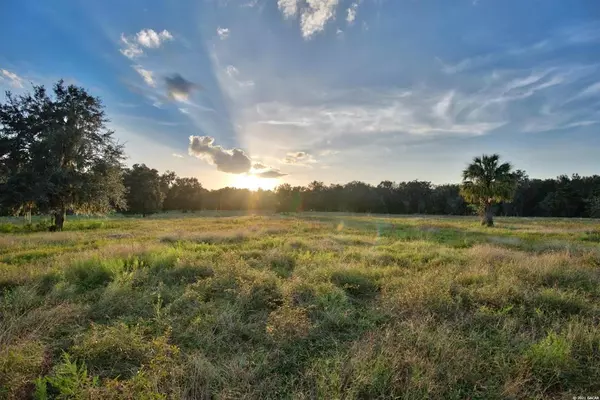 Micanopy, FL 32667,11407 SW 16th ST