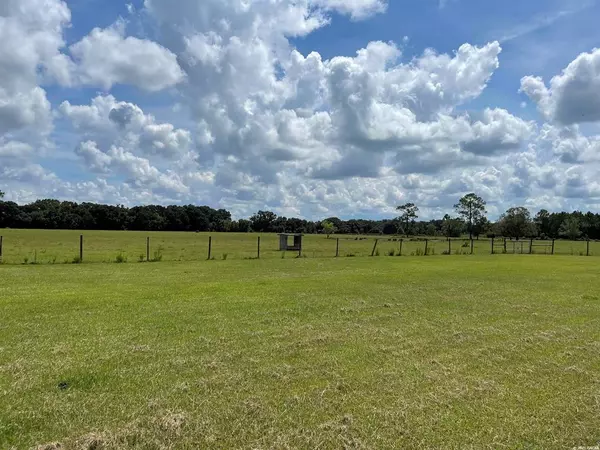 Hawthorne, FL 32640,21124 E COUNTY ROAD 1474