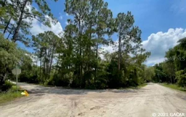 unknown SE 917th ST, Old Town, FL 32680