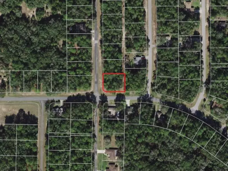 Citrus Springs, FL 34434,949 W VIRGINIS DR