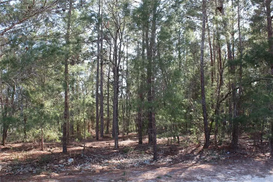 6197 HARVARD AVE, Keystone Heights, FL 32656