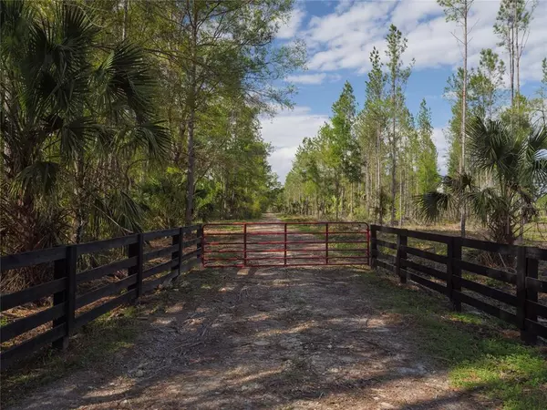 Silver Springs, FL 34488,Lot 13 NE HWY 315