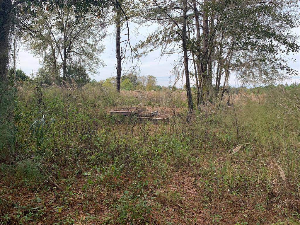 SW 71ST AVE,  Lake Butler,  FL 32054