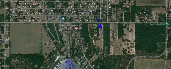 Ocklawaha, FL 32179,TBD SE 132ND PL