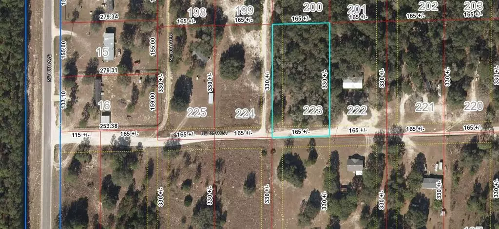 Bronson, FL 32621,Lot 223 NE 115TH ST