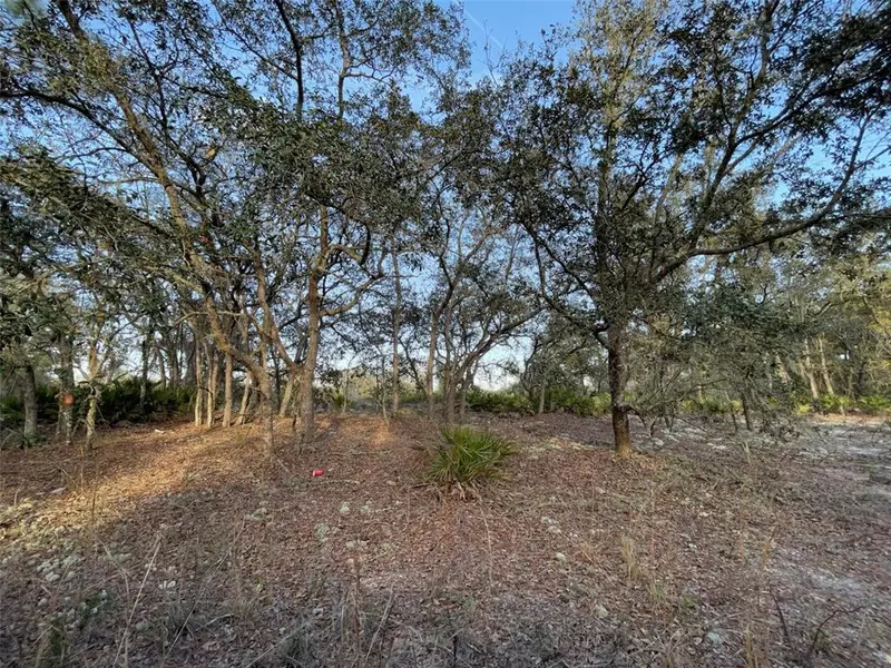 Lot 233 NE 122ND CT, Bronson, FL 32621