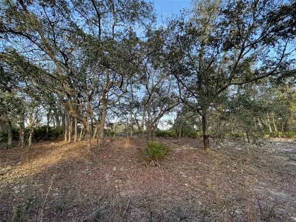 Lot 233 NE 122ND CT, Bronson, FL 32621