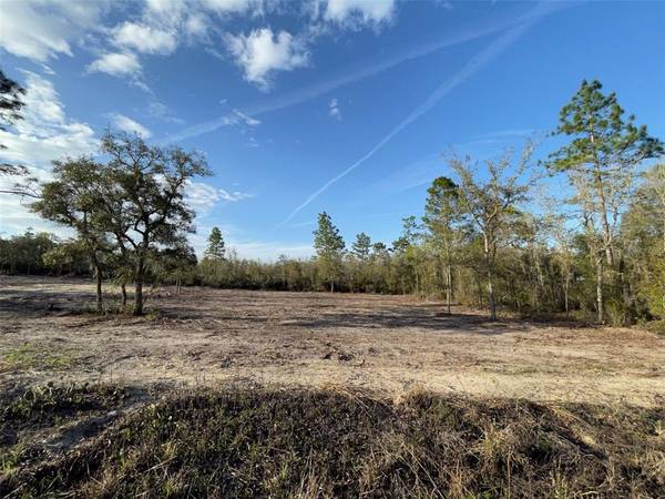 LOT 19 NE 65TH ST, Bronson, FL 32621