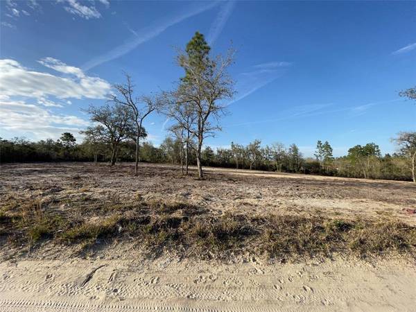 LOT 17 NE 65TH ST, Bronson, FL 32621