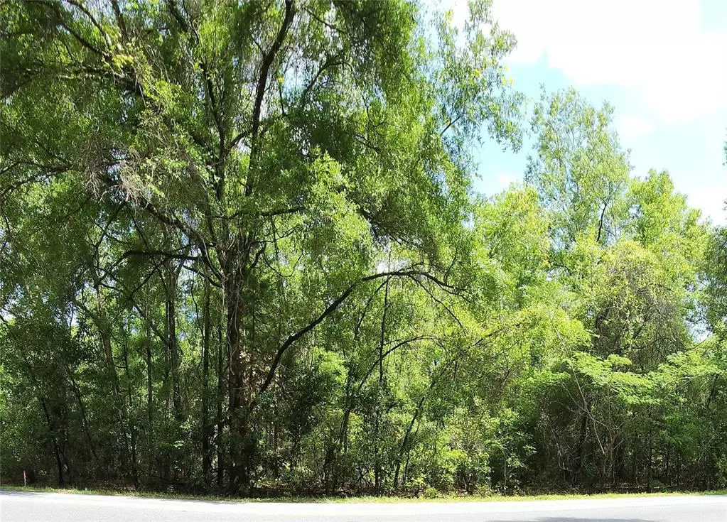 Branford, FL 32008,284TH ST