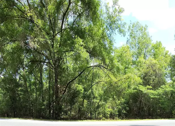 284TH ST, Branford, FL 32008